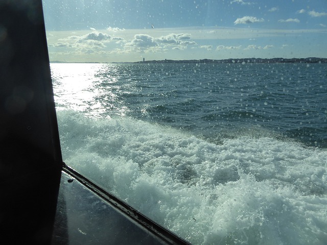 b0287088_15162405.jpg