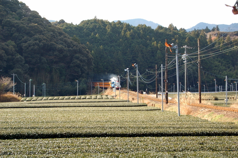 機関車トーマス_c0057390_00595841.jpg