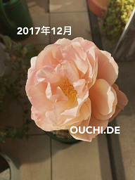a0144893_01505331.jpg