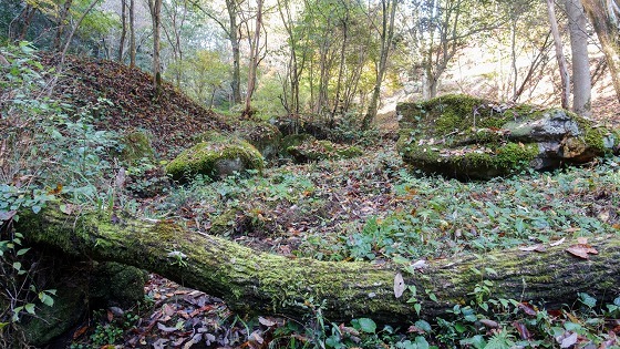 e0176993_07230124.jpg