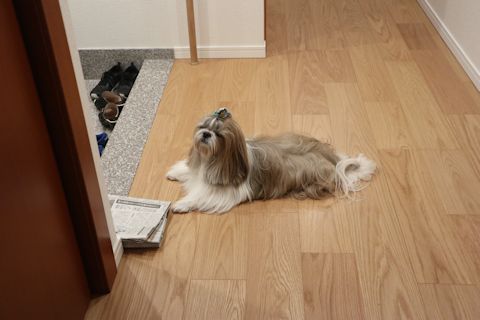c0090198_182149.jpg