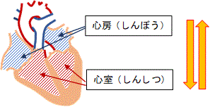 一般健康診断（３６）＠労働安全衛生法_d0364500_16245371.gif