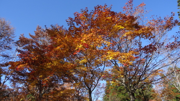 f0337700_17512786.jpg