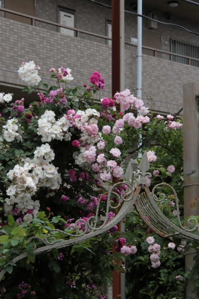 d0166303_22581867.jpg