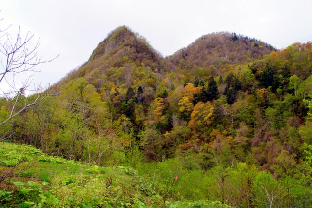 a0345007_15183784.jpg