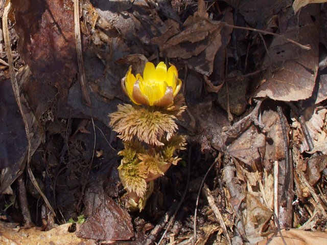 a0345007_15215949.jpg