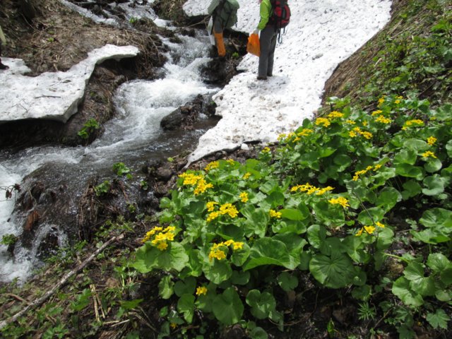 a0345007_15482435.jpg