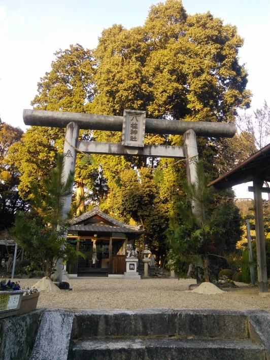 c0149408_09521160.jpg