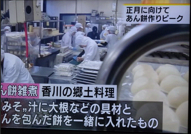 f0231709_04022796.gif
