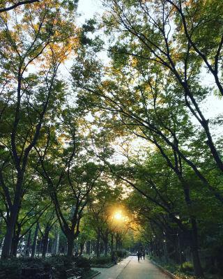 紅まどんな🍊_a0167912_19493538.jpg