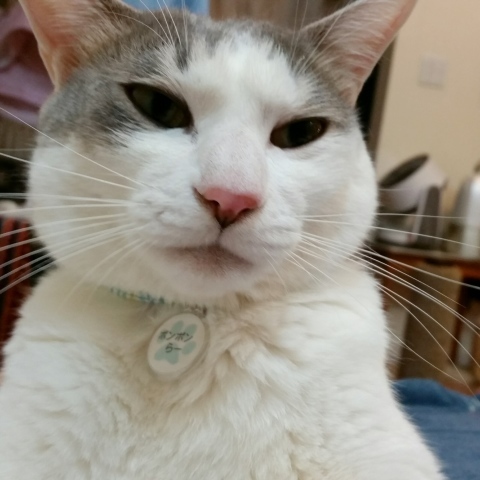 e0144012_21034306.jpeg