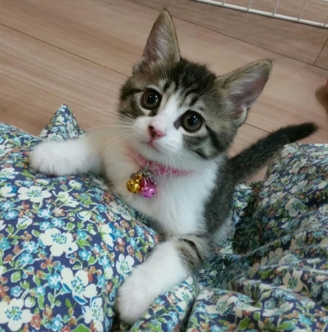 e0144012_23310131.jpeg