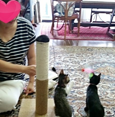 e0144012_23315156.jpeg