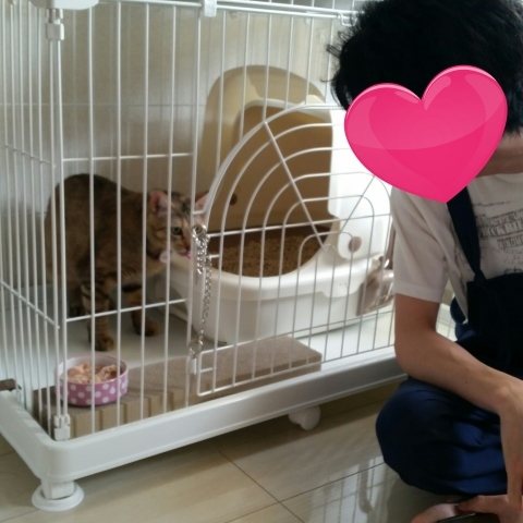 e0144012_23403922.jpeg