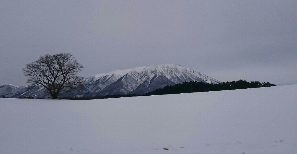 f0260414_13495229.jpg