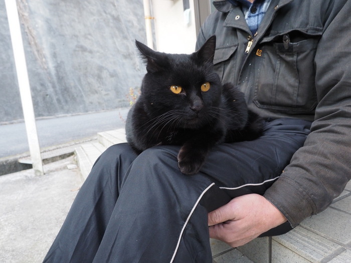 黒猫くうちゃん_c0116915_22164817.jpg