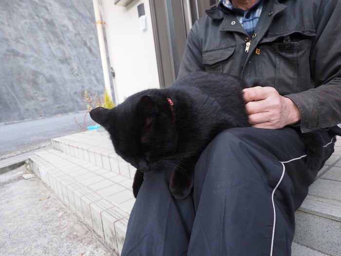 黒猫くうちゃん_c0116915_22185249.jpg
