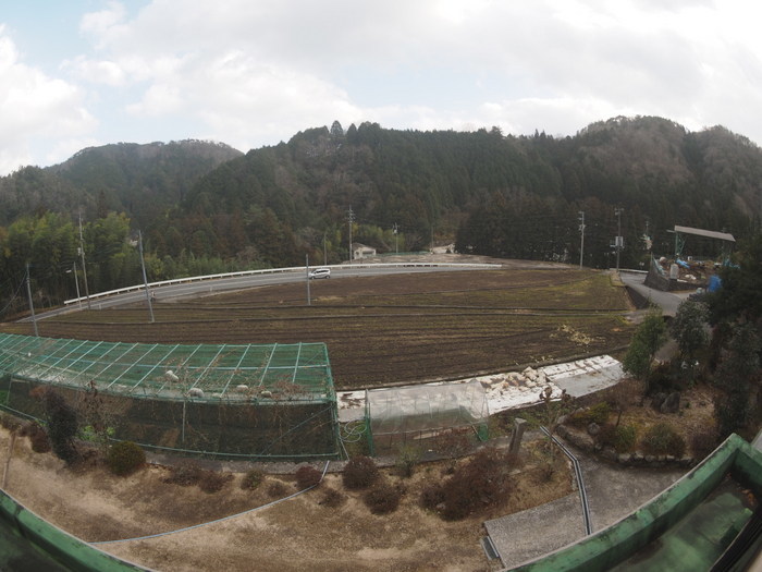 大晦日(小雨のち晴れ時々曇り)_c0116915_22254423.jpg