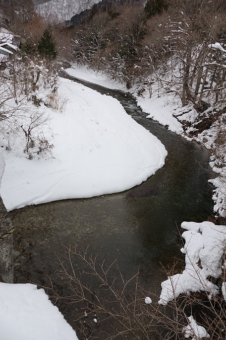 f0360815_13131146.jpg