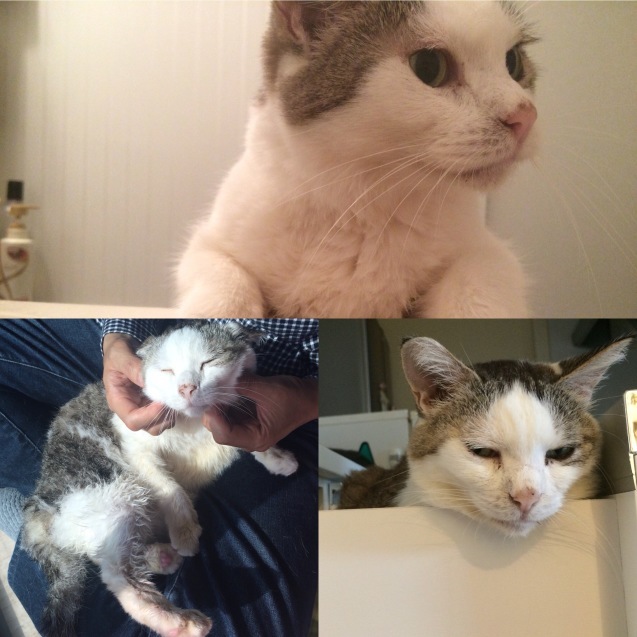 f0223329_02241091.jpeg
