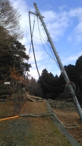 c0337631_11113969.jpg