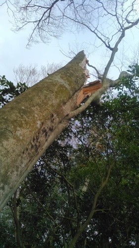 c0337631_11123323.jpg