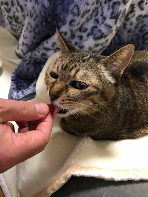 新年あけましておめでとうございます_d0355333_23194622.jpg