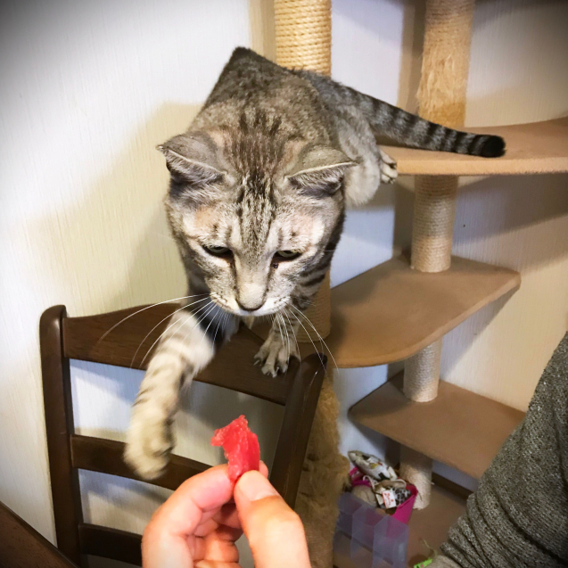 新年あけましておめでとうございます_d0355333_23194817.jpg