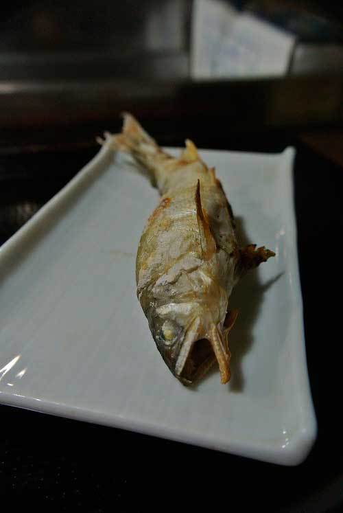 a0005436_12245147.jpg