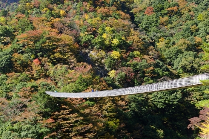 c0281841_02474448.jpg