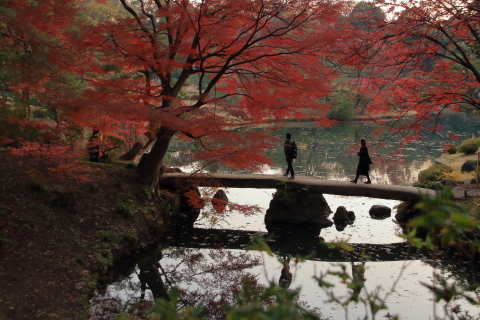 2017年の紅葉 東京編その2_a0025842_12215178.jpg