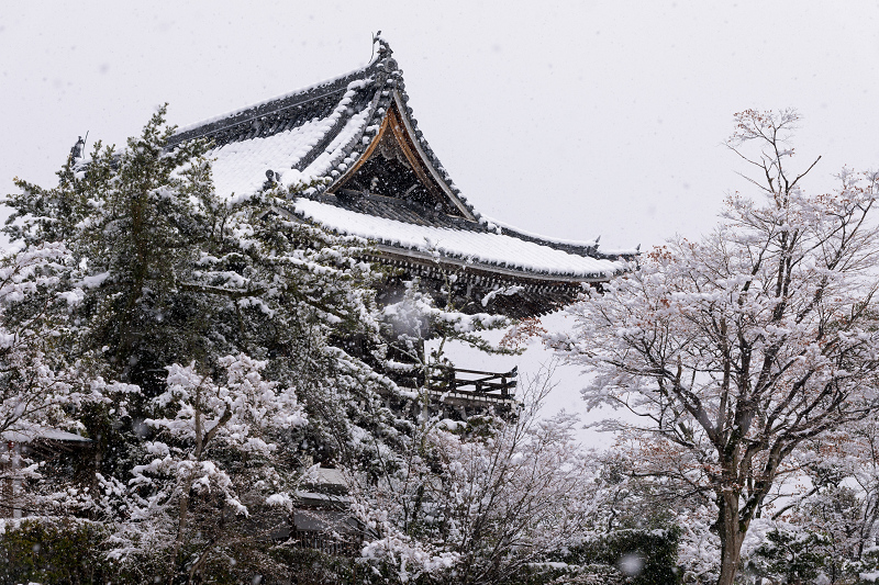 初雪景色！白く染まる善峯寺（楼門～多宝塔編） : 花景色