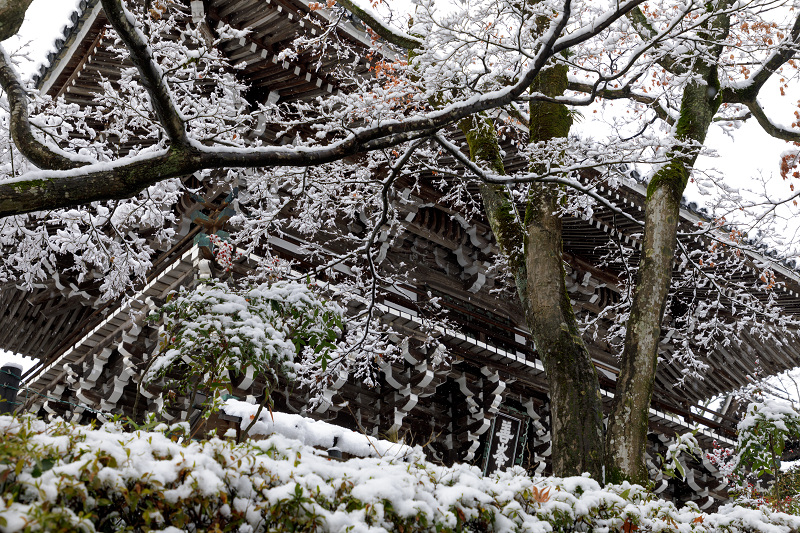 初雪景色！白く染まる善峯寺（楼門～多宝塔編） : 花景色
