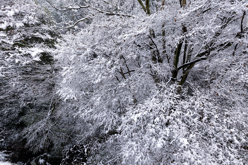 白嶺　雪景色 FI8zS_aaMAQRKZS.jpg