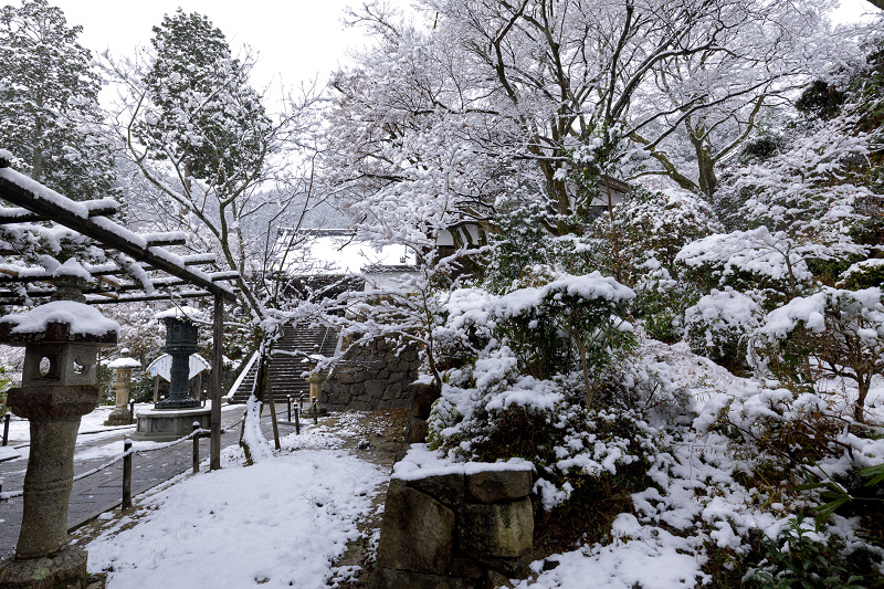 初雪景色！白く染まる善峯寺（楼門～多宝塔編） : 花景色