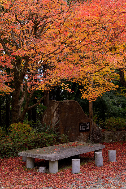 京都の紅葉2017 染まる秋（苗秀寺・前編）_f0155048_15281550.jpg