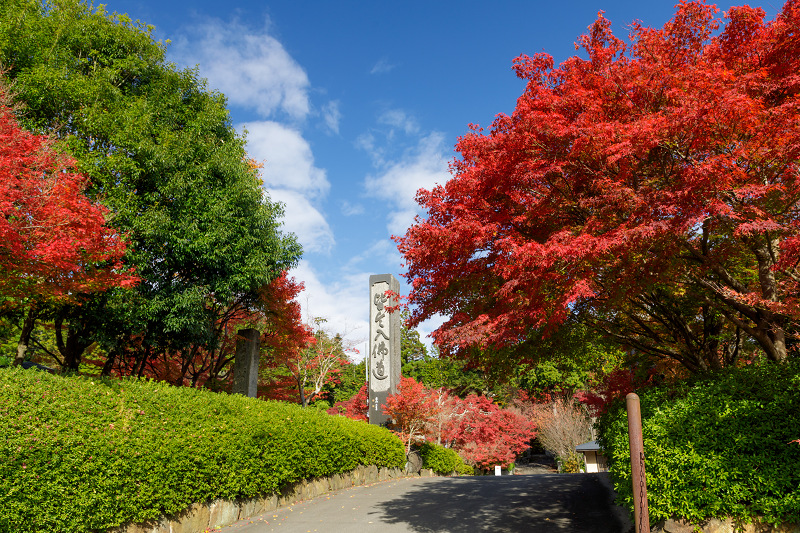 京都の紅葉2017 染まる秋（苗秀寺・前編）_f0155048_15351313.jpg