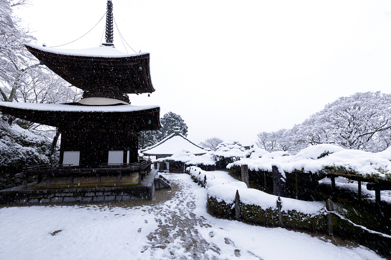 白嶺　雪景色 白銀の絶景！雪景色が似合う国内のおすすめスポット20選(2ページ目)