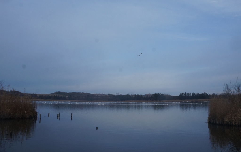 e0351452_17372714.jpg