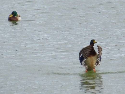 a0018655_10522032.jpg
