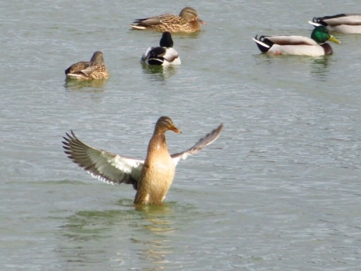 a0018655_10522365.jpg