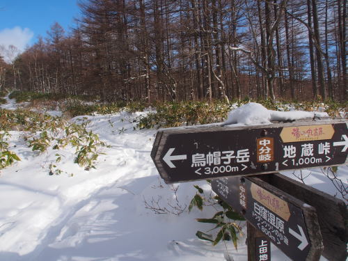 b0335256_17055672.jpg