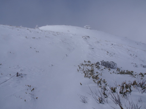 b0335256_17091746.jpg