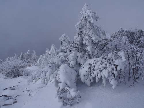 b0335256_17104537.jpg
