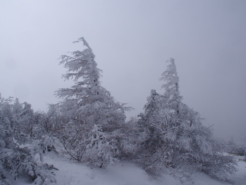 b0335256_17113773.jpg