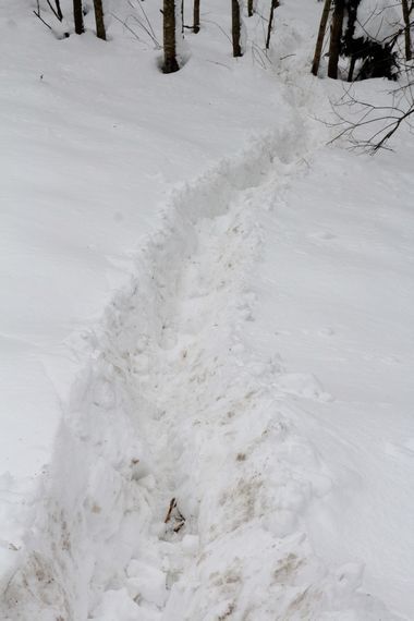 c0294658_18412081.jpg