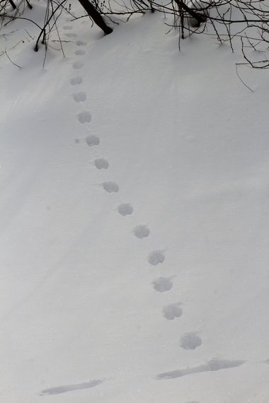 c0294658_18412601.jpg