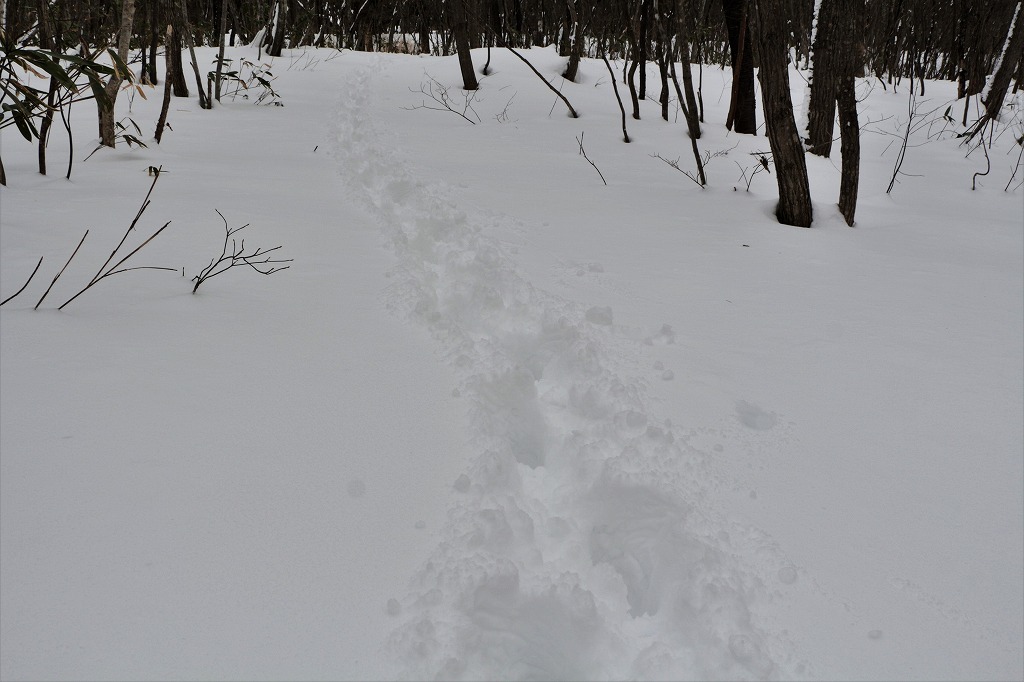 c0294658_18413120.jpg