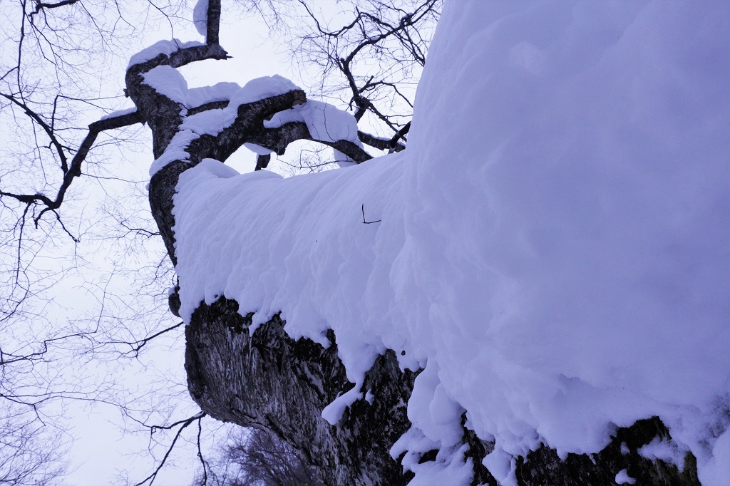 c0294658_18414619.jpg