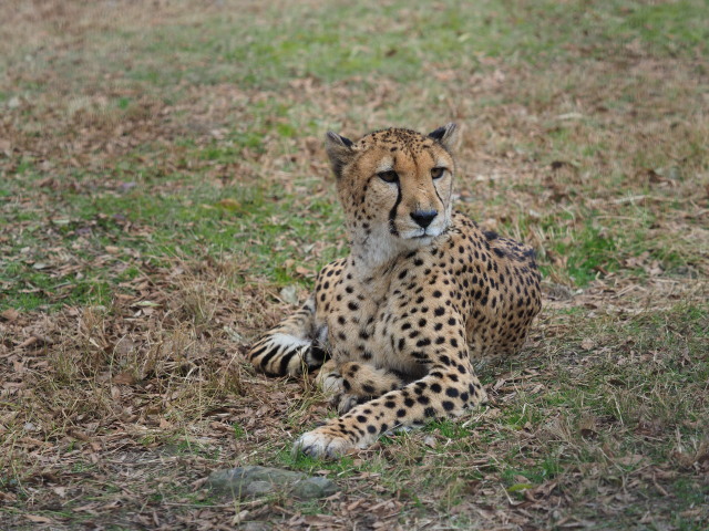 c0186760_11113420.jpg